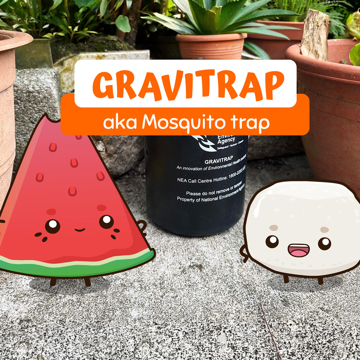 Thumbnail for "GRAVITRAP aka Mosquito trap" featuring Merry and Bouncy standing beside a black NEA (National Environment Agency) Gravitrap cylinder set outdoors among potted plants.